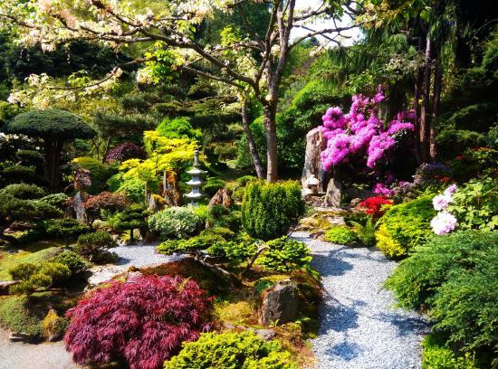 Ogród Japoński
